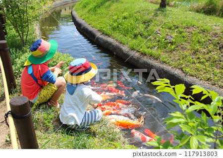 A child giving food to a carp 117913803