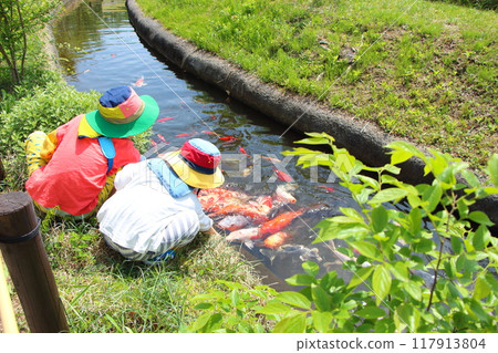 A child giving food to a carp A child giving food to a carp 117913804