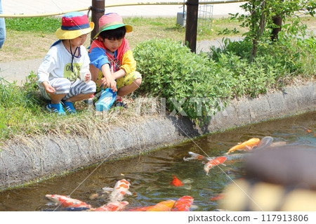 A child giving food to a carp A child giving food to a carp 117913806