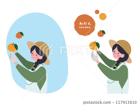 一名婦女採摘柑橘的插圖 117913810