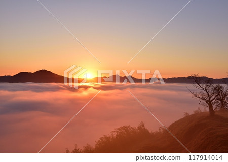 Tanba fog (sea of clouds) in the Sasayama basin seen from the Kuroi Castle ruins Tanba fog (sea of clouds) in the Sasayama basin seen from the Kuroi Castle ruins 117914014