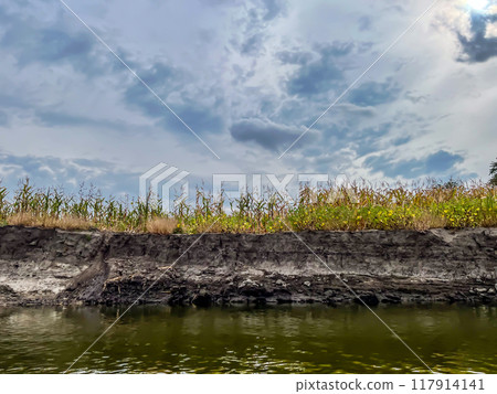 Bad farming practice of planting row crops to the edge of a waterway. 117914141