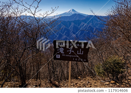 冬季從T子山看富士 117914606