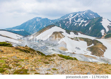 Tateyama Kurobe Alpine Route in early summer: Murododaira and Jigokudani with snow still remaining 117914826