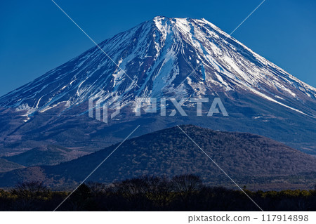 從精進湖畔看冬天的富士山 從精進湖畔看冬天的富士山 117914898