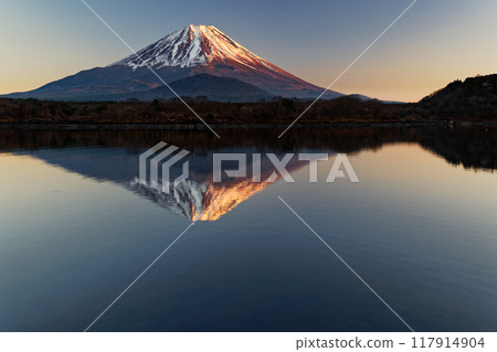 從精進湖岸邊看夕陽下的富士山 從精進湖岸邊看夕陽下的富士山 117914904