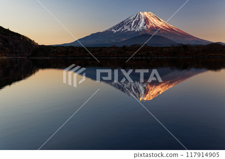 Mount Fuji in the evening light seen from the shores of Lake Shoji Mount Fuji in the evening light seen from the shores of Lake Shoji 117914905