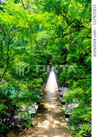 鮮綠的御倉橋(垂直) 鮮綠的御倉橋(垂直) 117915913
