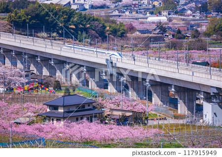 [Yamanashi Prefecture] Linear motor car running on the experimental track in Shangri-La 117915949