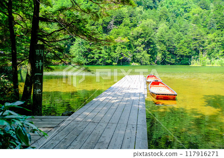 Myojin Ichinoike Pond in summer 117916271