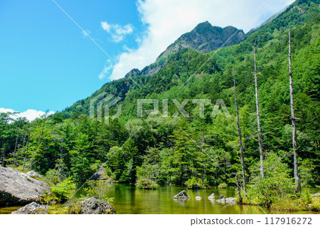 Dakezawa Marsh and Mt. Rokuhyaku in summer 117916272