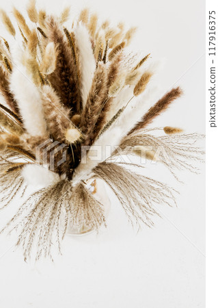 Bouquet of decorative dried pampas grass on a light background, close-up. Bouquet of decorative dried pampas grass on a light background, close-up. 117916375