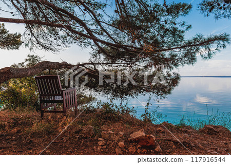 Krk Croatia A wooden chair under an old pine tree near the sea Krk Croatia A wooden chair under an old pine tree near the sea 117916544