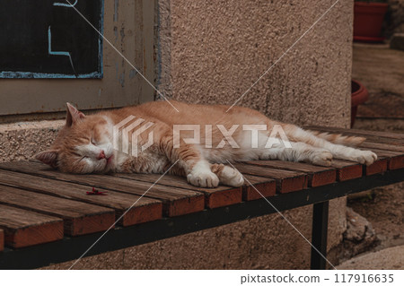 Krk Croatia A big red cat is sleeping on a bench on a hot summer day 117916635