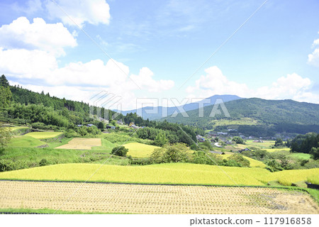 在坂織梯田收割水稻 在坂織梯田收割水稻 117916858