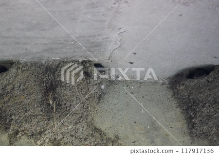 A swallow's nest is under the bridge 117917136