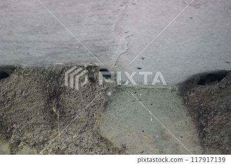 A swallow's nest is under the bridge A swallow's nest is under the bridge 117917139
