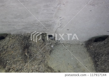 A swallow's nest is under the bridge A swallow's nest is under the bridge 117917144