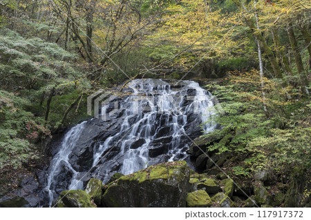 Autumn leaves of Eryuta Falls 117917372