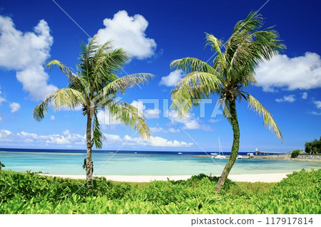 Scenery of Busena Beach, Nago City Scenery of Busena Beach, Nago City 117917814