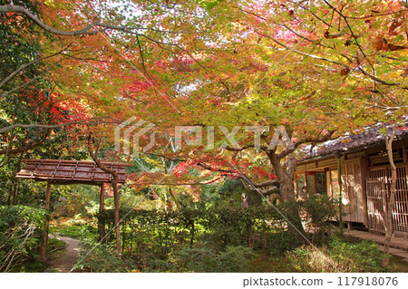 Akira no Mirai 117918076