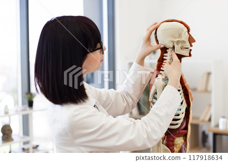 Medical student studying human skeleton model in classroom Medical student studying human skeleton model in classroom 117918634
