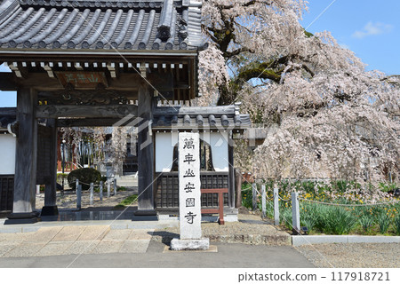 I went to Ankokuji Temple #25 I went to Ankokuji Temple #25 117918721