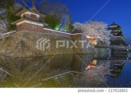 Takashima Castle and Sakura Suwa City Nagano Prefecture Takashima Castle and Sakura Suwa City Nagano Prefecture 117918801