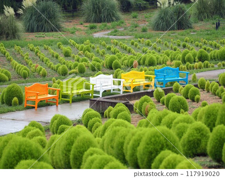 國立贊岐萬濃公園2024年8月[香川縣中多戶郡萬濃町]9 117919020