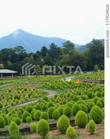 Sanuki Manno National Government Park August 2024 [Manno Town, Nakatado District, Kagawa Prefecture] 117919028