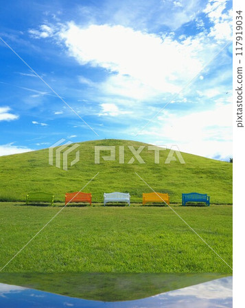 Sanuki Manno National Government Park July 2024 [Manno Town, Nakatado District, Kagawa Prefecture] 9 117919034
