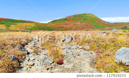 Climbing Mount Yakeishi in autumn: View of the summit of Mount Yakeishi from Ubaishidaira Climbing Mount Yakeishi in autumn: View of the summit of Mount Yakeishi from Ubaishidaira 117919253