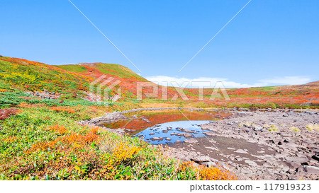 Climbing Mt. Yakeishi in autumn (Senmizu-numa and the summit of Mt. Yakeishi) Climbing Mt. Yakeishi in autumn (Senmizu-numa and the summit of Mt. Yakeishi) 117919323