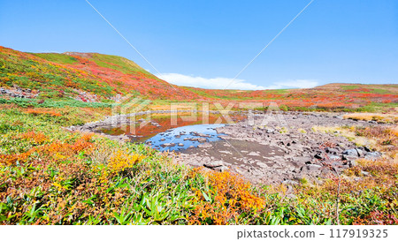 秋天的彌石岳登山（泉池、彌石嶽山頂） 117919325
