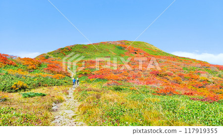 Autumn climbing of Mt. Yakeishi (from Sensui-numa to the summit of Mt. Yakeishi) Autumn climbing of Mt. Yakeishi (from Sensui-numa to the summit of Mt. Yakeishi) 117919355