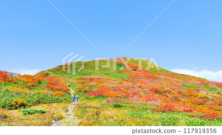 秋天的彌石岳登山（泉沼～彌石嶽山頂） 117919356