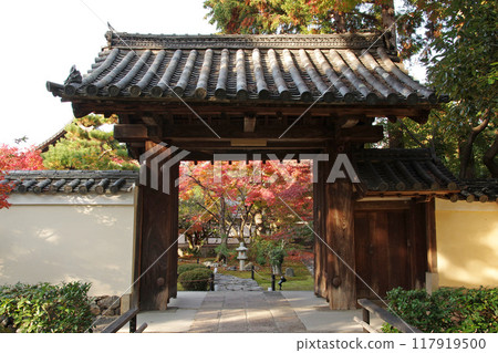 Autumn Kaohsiung Autumn Kaohsiung 117919500