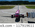 Gate Arrival 117919611