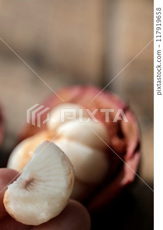 Fingers holding Thai mangosteen tropical fruit Fingers holding Thai mangosteen tropical fruit 117919658