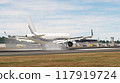 Touchdown on the runway 117919724