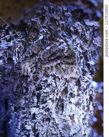 Scenery of the Hida Great Cave 117919985