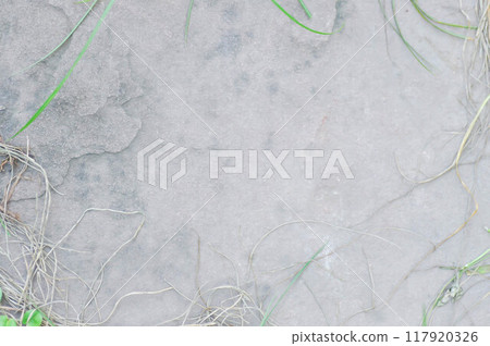 old cement wall or old brown wall,  brown background or  brown wallpaper or old  brown floor or old beige wall 117920326