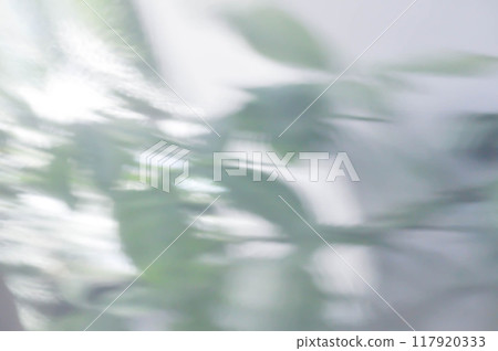 cement wall or white wall, white background or white wallpaper or white floor with tree shadow or shadow on the wall or blur background 117920333