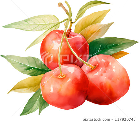 Cherry 117920743