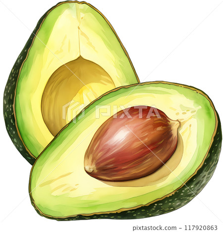 Avocado 117920863