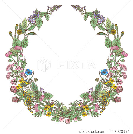 Herb wreath drawing. Colorful flowers round frame Herb wreath drawing. Colorful flowers round frame 117920955