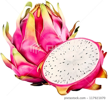 Dragon fruit 117921070