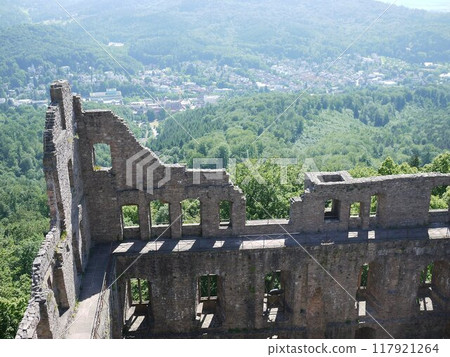 German castle 117921264