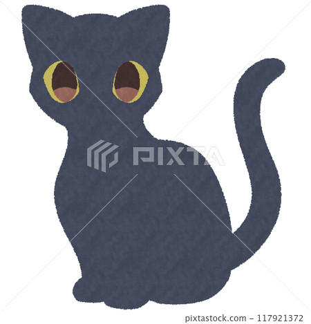 Black cat  117921372