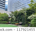 Landscape of many green office streets 117921455